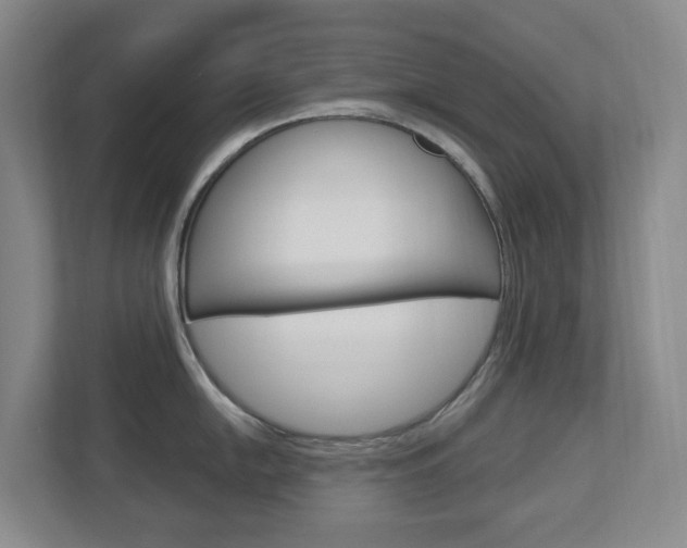 X0000112721054200908200943