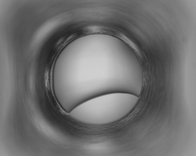 X0000112721055200908200943