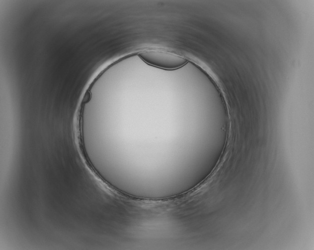 X0000112721056200908200943