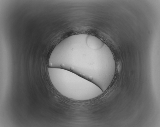 X0000112721059200908200942