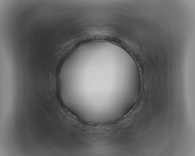 X0000112721061200908200942