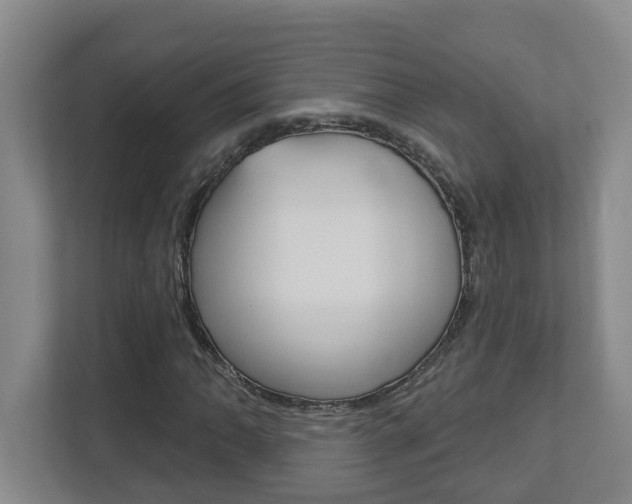 X0000112721062200908200942