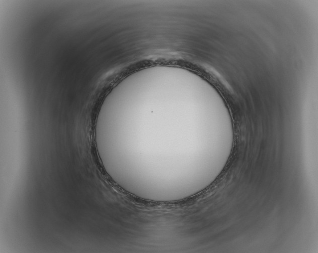 X0000112721063200908200942
