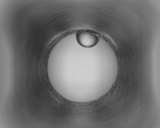 X0000112721064200908200942