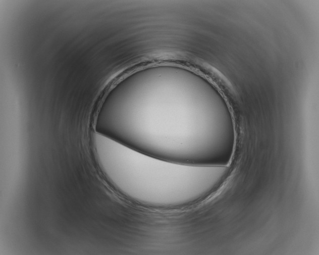 X0000112721065200908200942