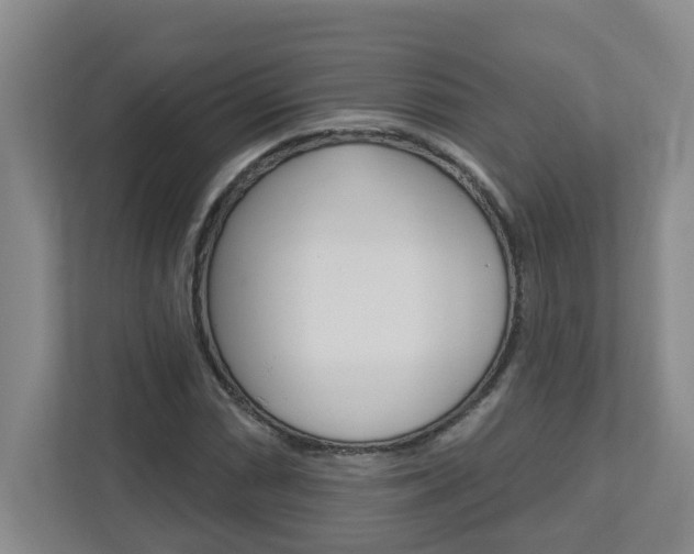 X0000112721066200908200942