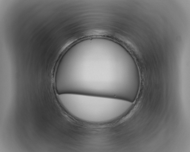 X0000112721073200908200942