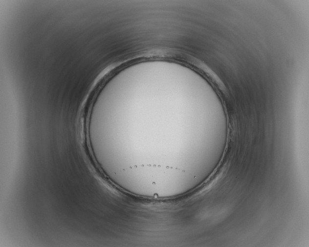 X0000112721075200908200942