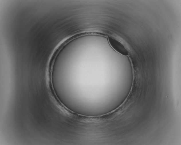X0000112721076200908200942