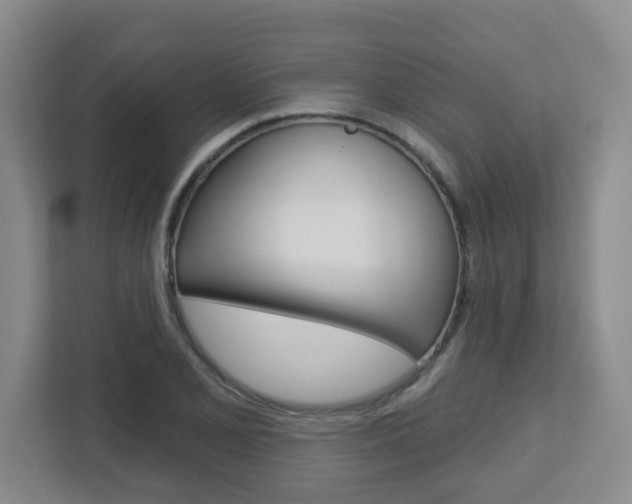 X0000112721077200908200942
