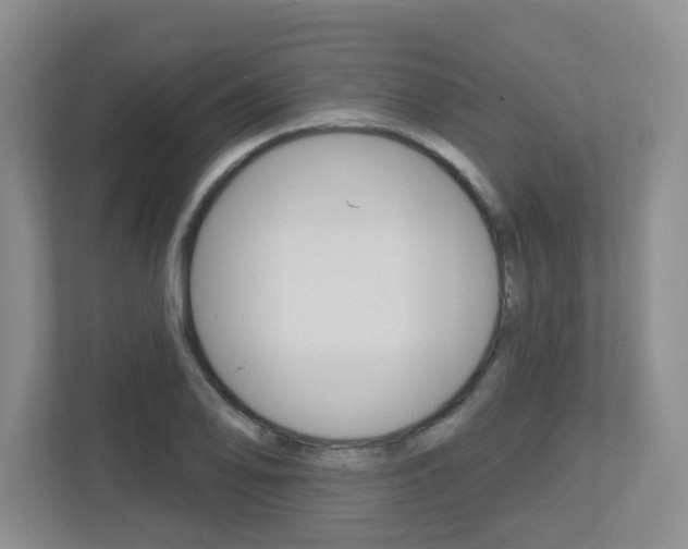 X0000112721078200908200942