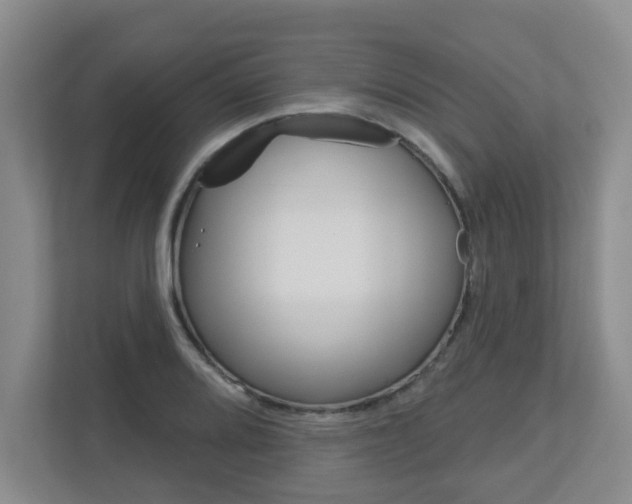 X0000112721080200908200942