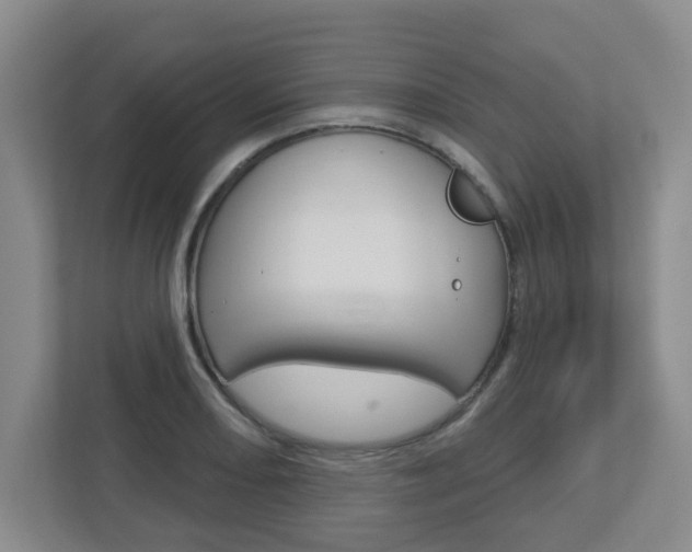 X0000112721082200908200942