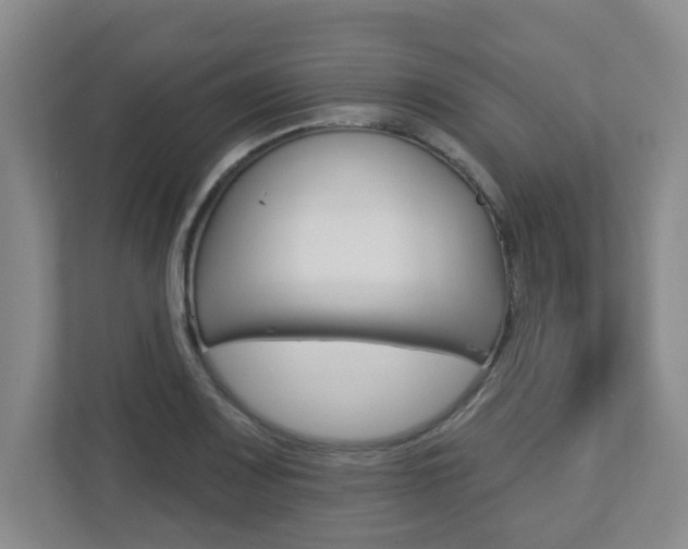 X0000112721083200908200942