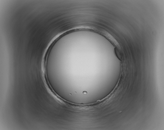 X0000112721084200908200942