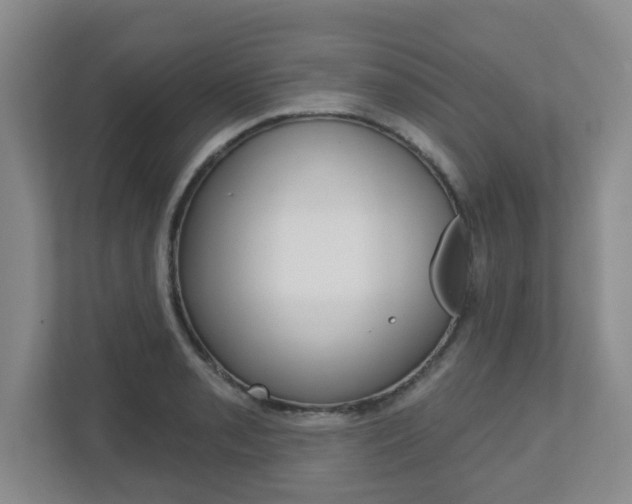 X0000112721085200908200942
