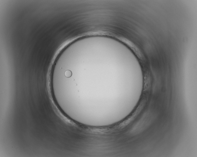 X0000112721086200908200942
