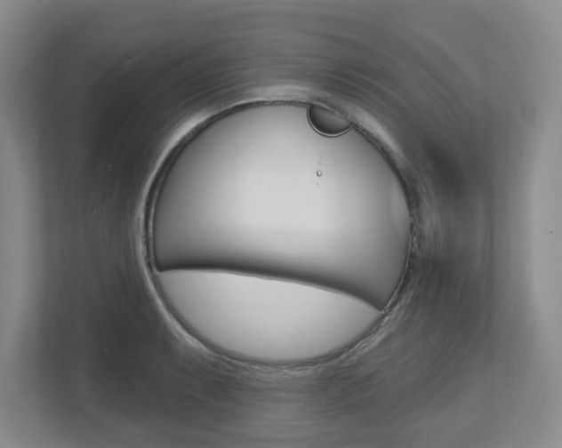X0000112721087200908200942