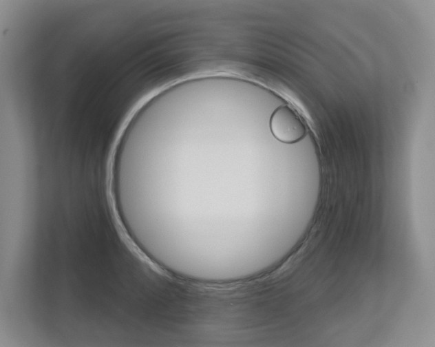 X0000112721088200908200942