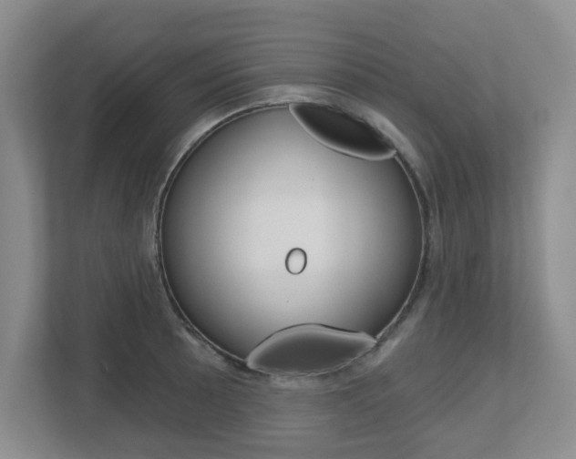 X0000112721089200908200942