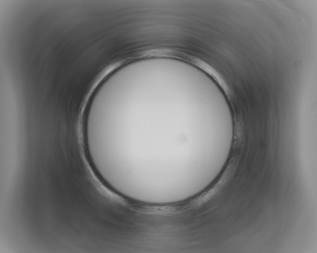 X0000112721090200908200942