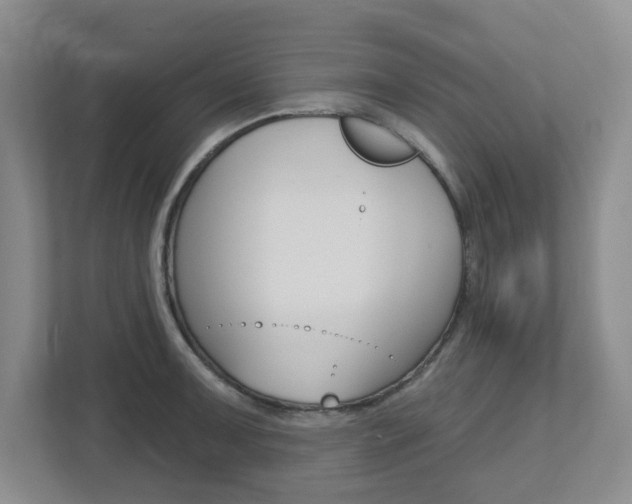 X0000112721091200908200942