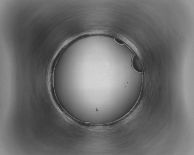 X0000112721093200908200942