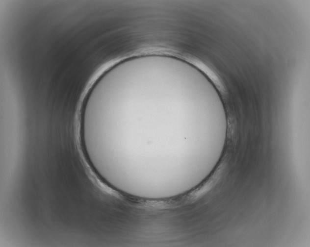 X0000112721094200908200942