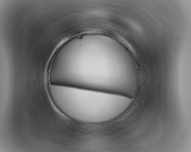 X0000112721095200908200942