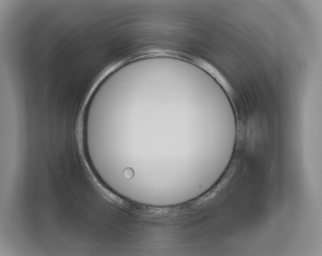 X0000112721098200908200941