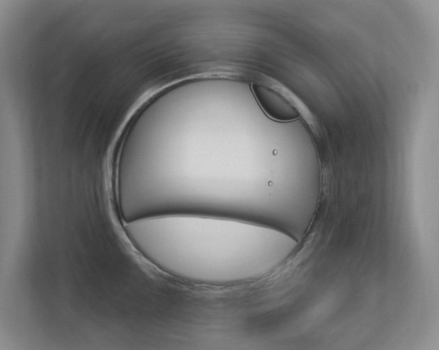 X0000112721099200908200941