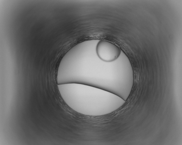 X0000112721106200908200941