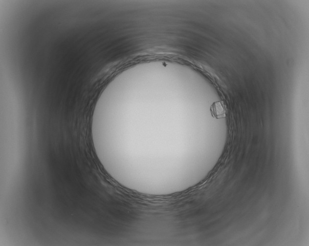 X0000112721110200908200941