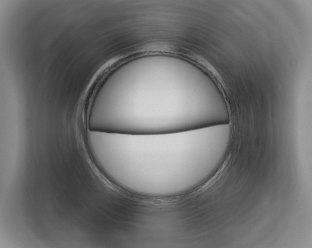 X0000112721123200908200941
