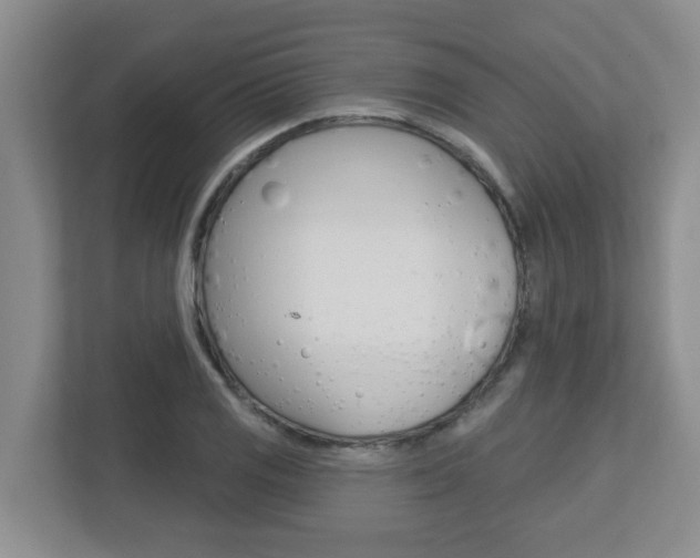 X0000112721125200908200941