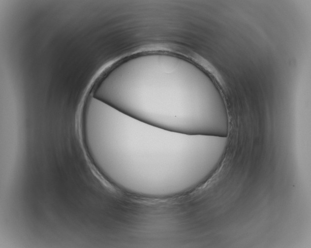 X0000112721127200908200941