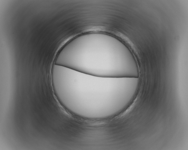 X0000112721129200908200941