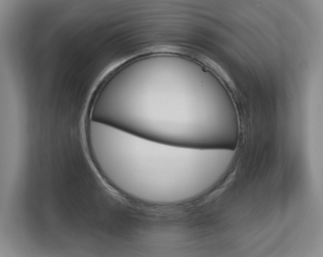 X0000112721133200908200941