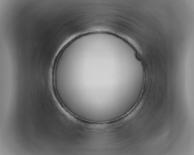 X0000112721134200908200941