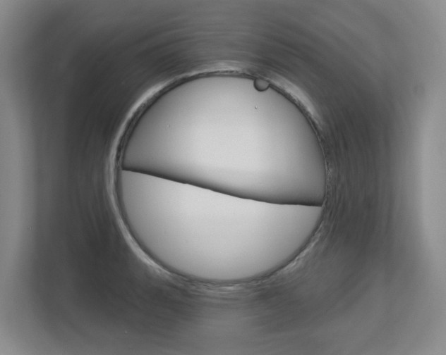 X0000112721135200908200941