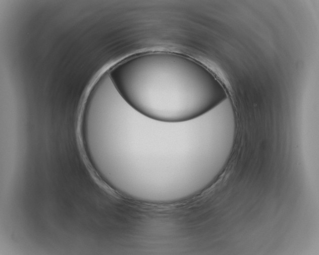 X0000112721136200908200941