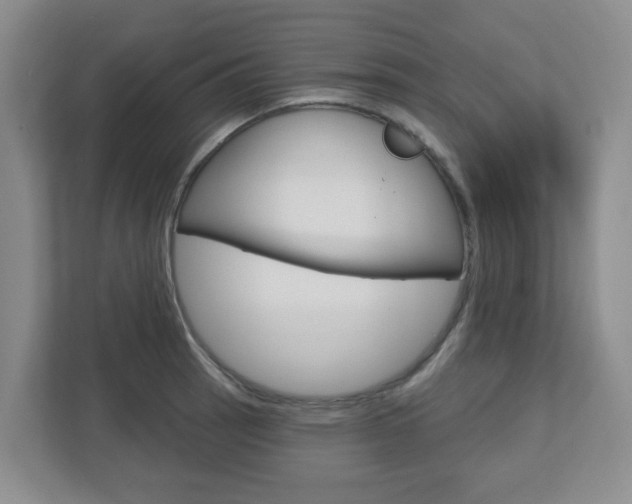 X0000112721137200908200941