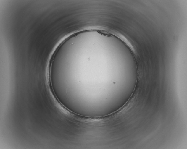 X0000112721140200908200941