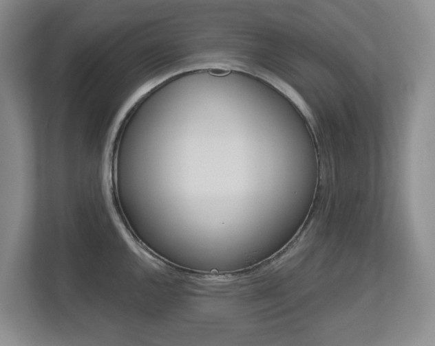 X0000112721144200908200941