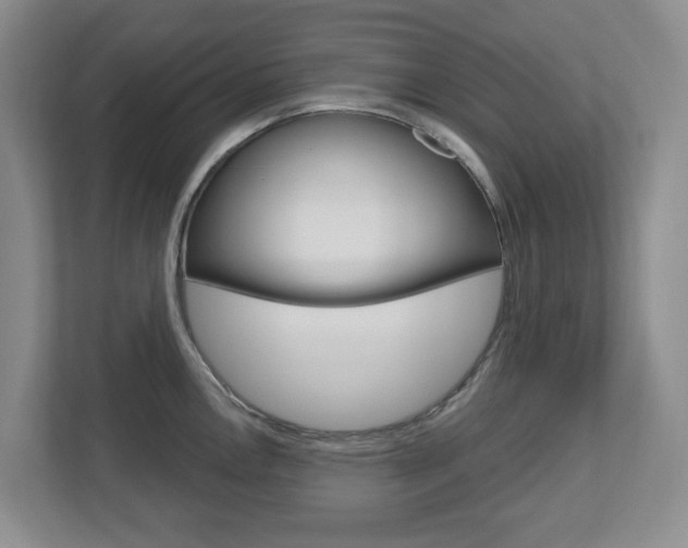 X0000112721146200908200941