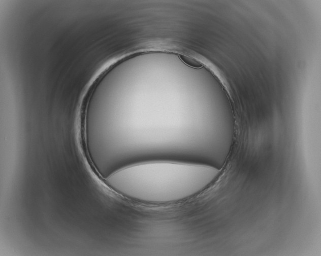 X0000112721147200908200941