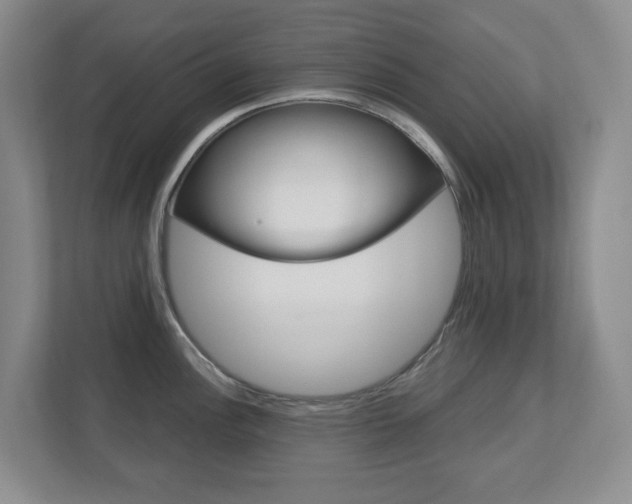 X0000112721148200908200941