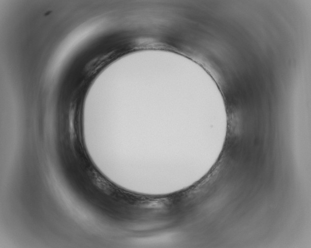 X0000112721150200908200941