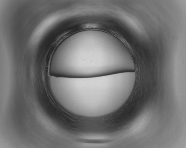 X0000112721151200908200941