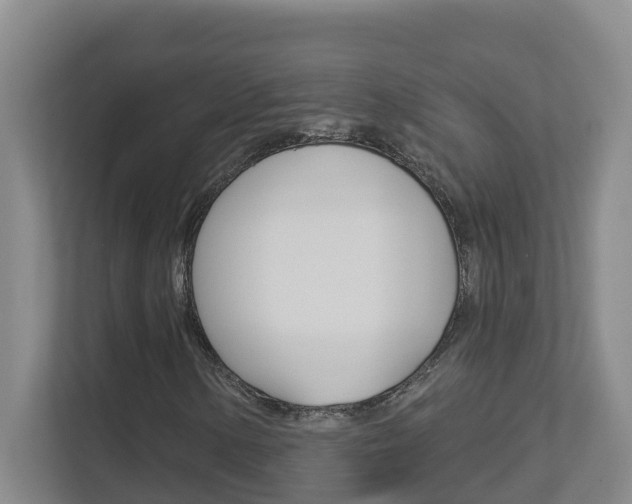 X0000112721154200908200941